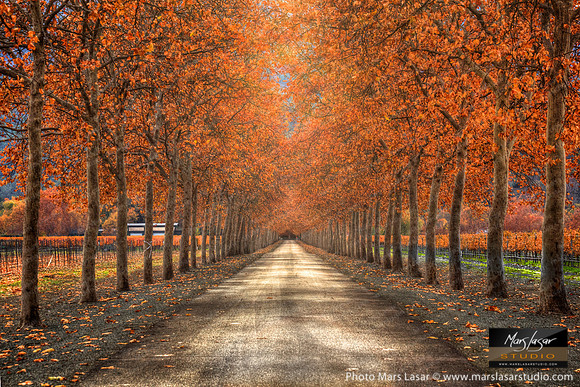 Autumn Skies (horizontal)
