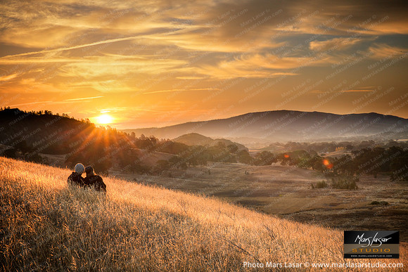 Pope Valley Gold