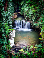 The Lost Pond