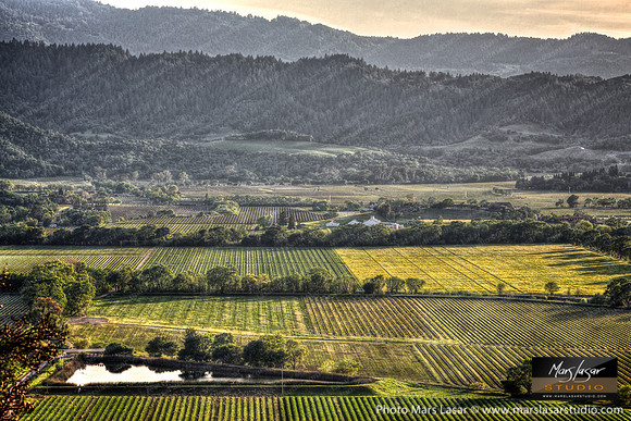 Oakville Spring Vista