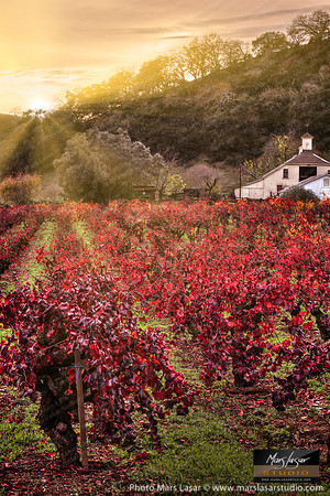 Valley Of The Moon (vertical)