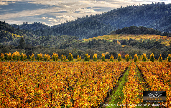 Far Niente Gentle Fall