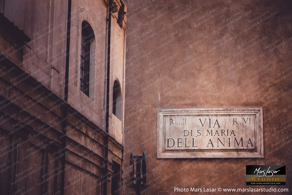 Dell Anima Simplicity