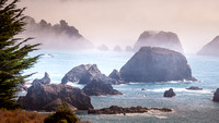 Pacific Coast Mist