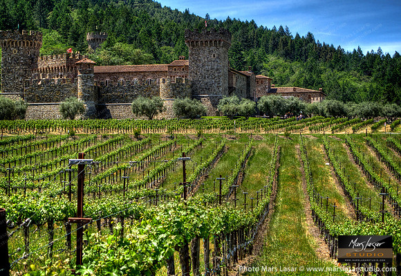 Sunny Castello Spring