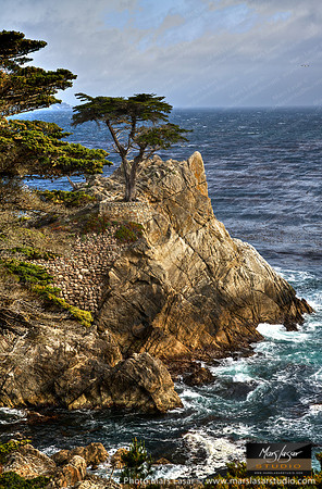 Lone Pine Blue
