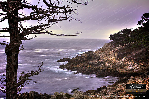 17 Mile Drive