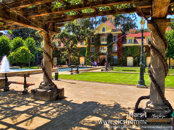Sunny Inglenook Winery 1