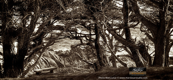 Carmel Magic_sepia