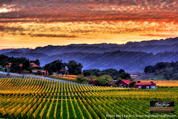 Wine Country