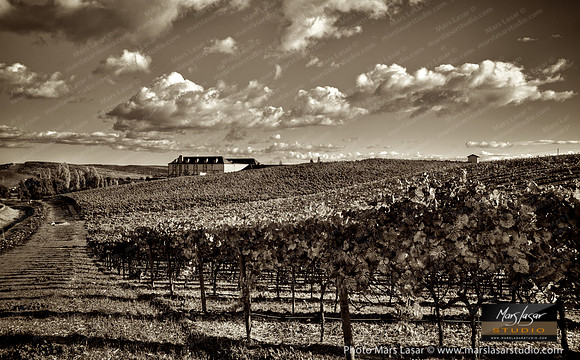 Chandon Carneros_sepia