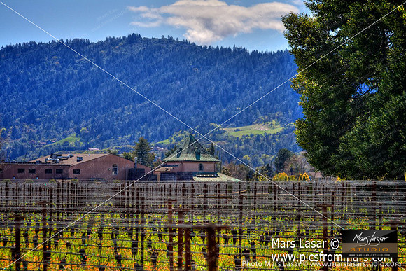 Peju Winery In The Winter
