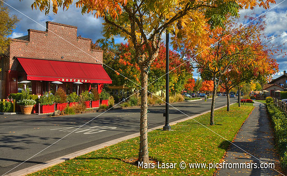 Yountville Fall Street 4