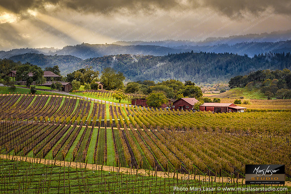 Screaming Eagle Winter