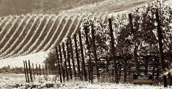Fall In The Valley_pan_sepia
