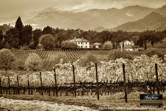 Wine Country Fall Living_sepia
