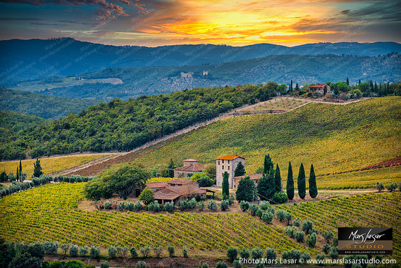 Tuscan Beauty