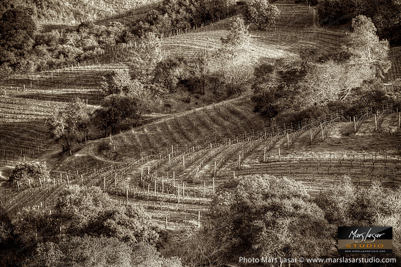 Kuleto WIner Hills