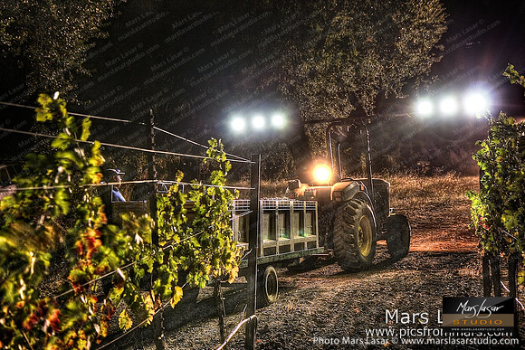 Final Night Harvest
