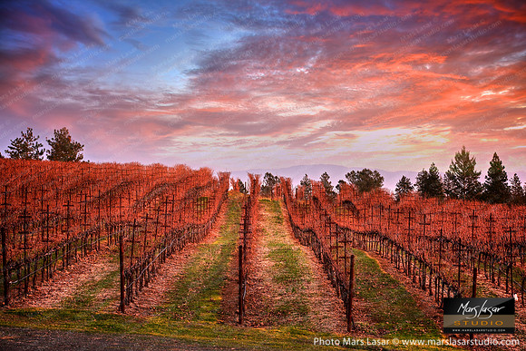 O'Shaughnessy Winter Skies