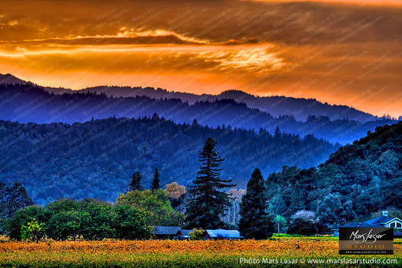 Valley Of Gold