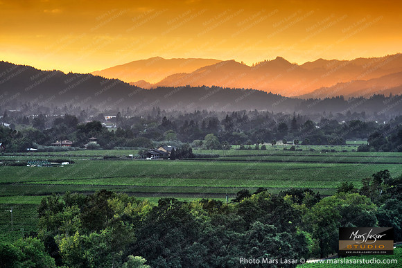 Napa Valley Light