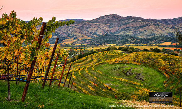 Chandon Sacred Circle