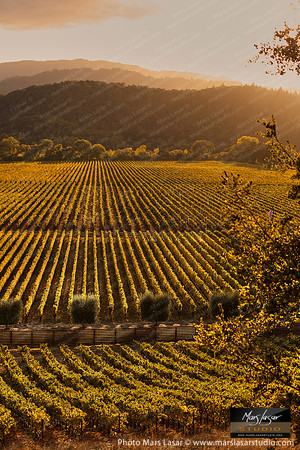 Casa Piena Afternoon