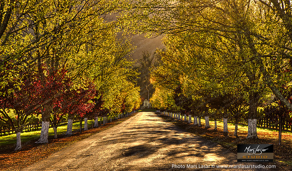 Inglenook Winery Entrance