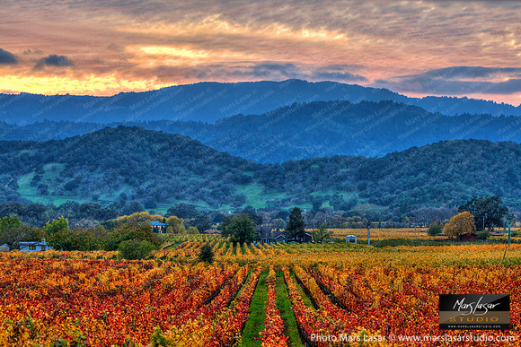 Classic Napa Valley