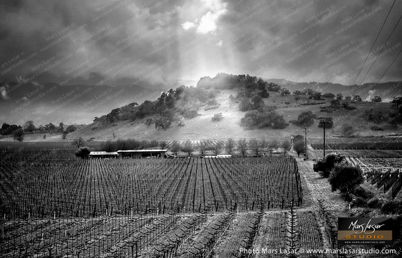 Rays In The Valley B&W