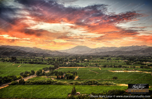 Napa Valley Sunset Burst