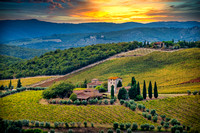 Tuscan Beauty