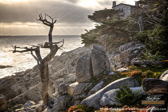 Carmel Sanctuary
