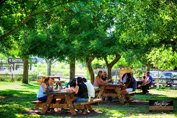 Sattui Picnic with Sign