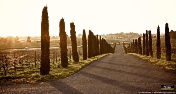 Jamieson Ranch Driveway 1