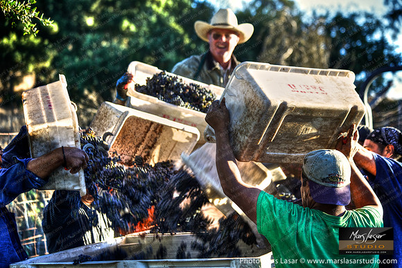 Family Harvest