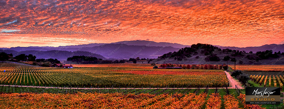 Napa Valley Sunset_pan