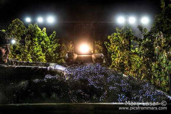 Cabernet Close Encounters