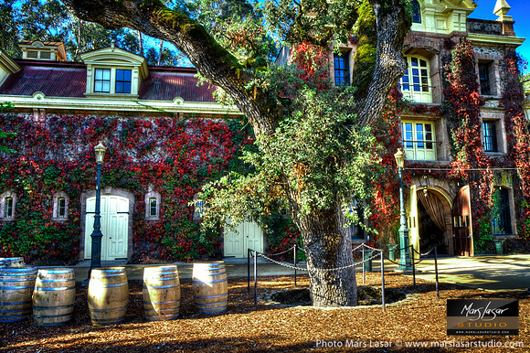 Inglenook Sunny Fall