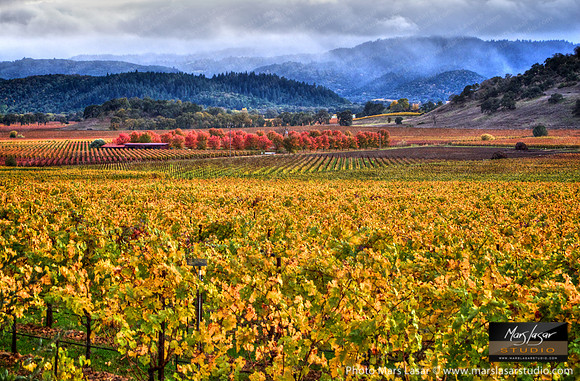 Wine Country Mist 2