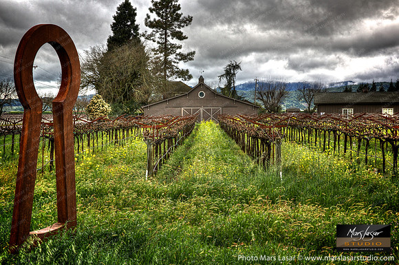 Blackbird Winery Spring