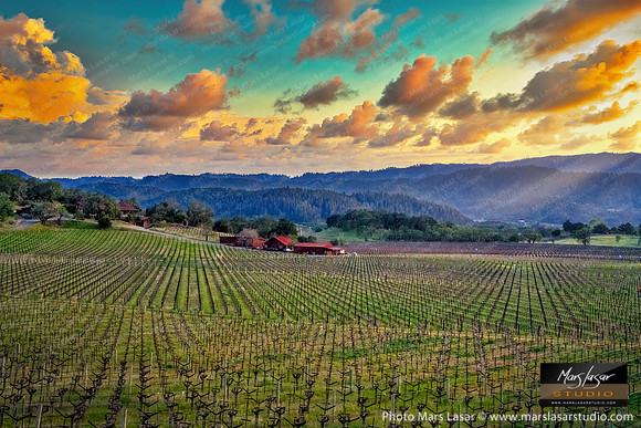 Screaming Eagle Spring Break