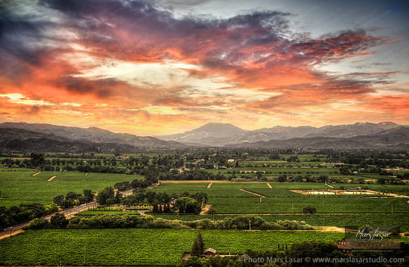 Napa Valley Sunset Burst