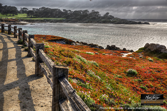 17 Mile Drive Coffee Break