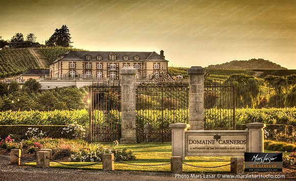 Carneros Summer Afternoon