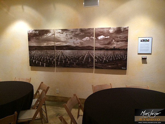 Dramatic Spring_event room