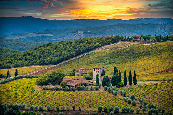 Tuscan Beauty