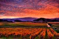 Napa Valley Sunset