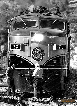 Napa Valley Wine Train 12 B&W